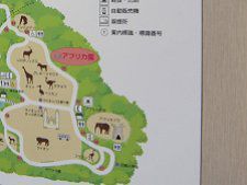 ��������map22