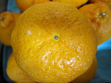 �f�R�|���iDekopon�j
