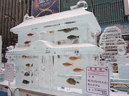 ����̕X��