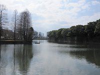 �j�[��