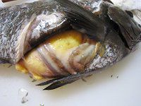 �O���g����