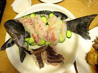 �O���p����