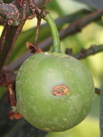 �L���j����