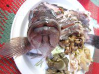 �L�c�l���o���p����