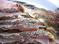 �L�c�l���o���Ă��؂�
