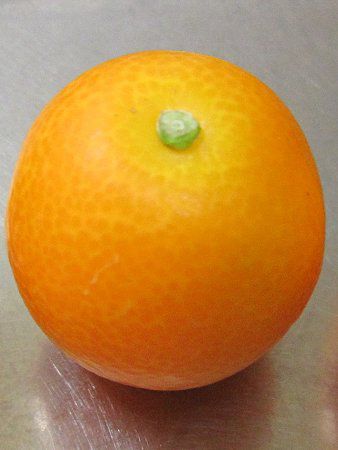 �L���J���i�����j