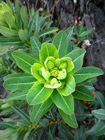 �C���^�C�Q�L10