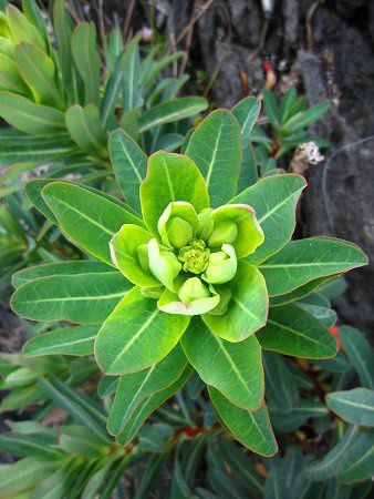 �C���^�C�Q�L10
