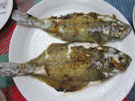 ���Ճ��j�G��
