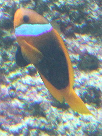 �N���n�}�N�}�m�~�i���l�G���j131