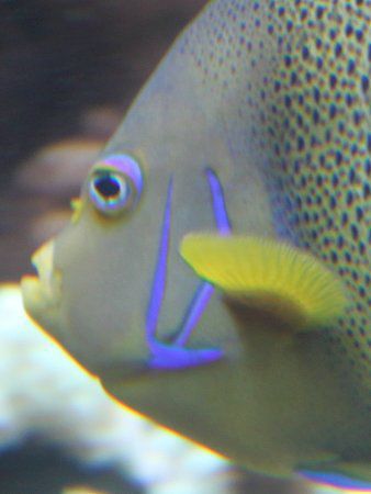 �T�U�i�~���b�R����