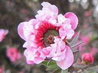 �M�������E�o�C�i����~�j