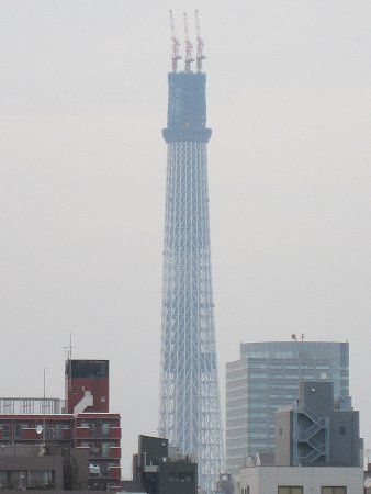 5��22��(2010�N)