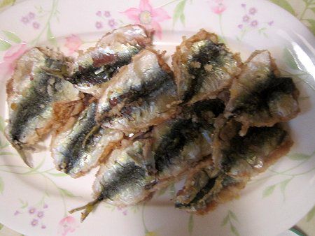 �T�o�R���g