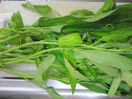 �N�E�V���T�C
