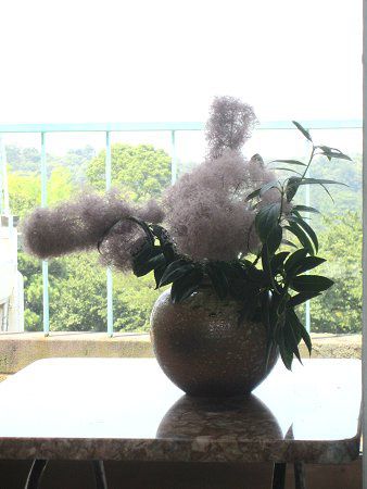 �X���[�N�c���[