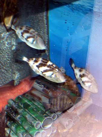 �E�}�d���n�M