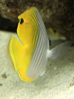 �g�Q�`���E�`���E�E�I�i�����X���j