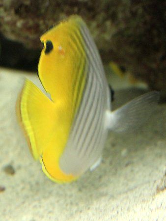 �g�Q�`���E�`���E�E�I�i�����X���j