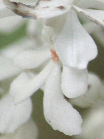 �c������(�ߗ�)