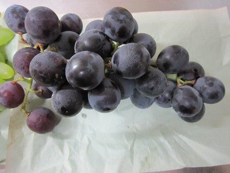 �t�W�~�m���i�����j