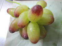 �}�j�L���A�t�B���K�[