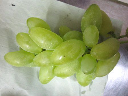 �S�[���h�t�B���K�[