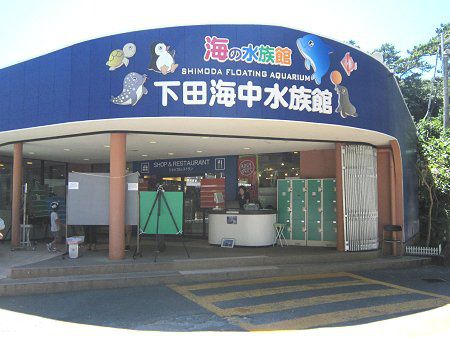 ���c�C��������