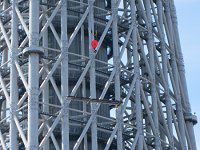 Sky Tree(2010�N9��3��)