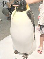 �c��y���M��