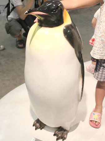 �c��y���M���l�`