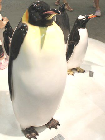 �c��y���M���l�`