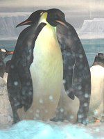 �c��y���M��