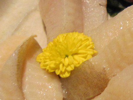 �H�p�e