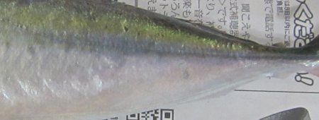 �މ�-�N�T������