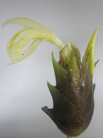 �~���E�K(䪉�)