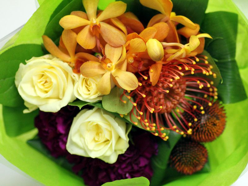 �s���N�b�V����(Pincushions)