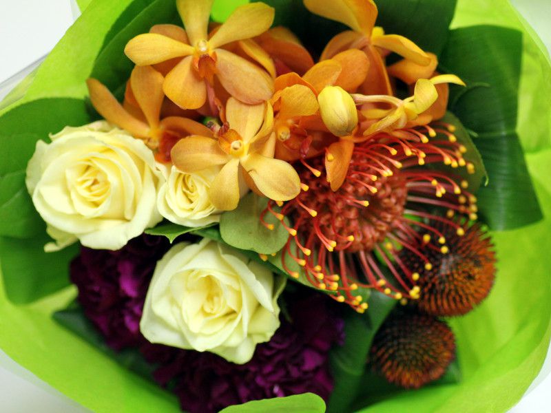 �s���N�b�V����(Pincushions)
