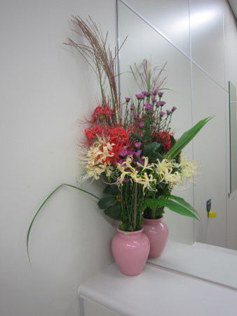 �啪��`�g�C���̉�