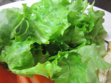 �O���[�����^�X(Green Lettuce)