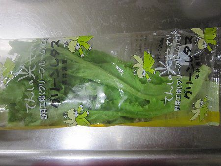 �O���[�����^�X(Green Lettuce)
