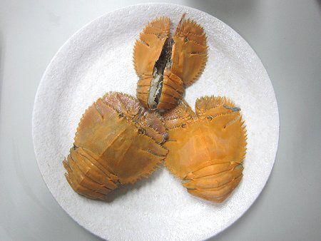䥂ŃE�`���G�r