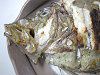 �}�g�E�_�C�̃\�e�B�i�H�O�j