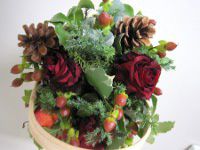 xmas����