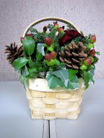 xmas����