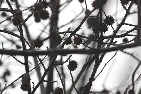 ���~�W�o�t�E�ʎ�����