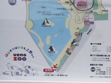 ��쓮����map11