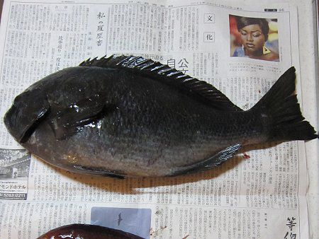 �O��