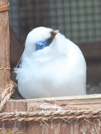 �J�������V�����N�i�������j 