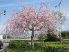 ���c��PA�̎}�����